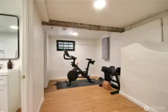 Den can function as office or gym!
