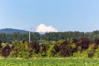 View of Mt Baker from front porch!