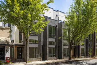 Lush tree canopy and bold vertical architecture frame these stylish new townhomes just steps from parks, boutiques, and Lake Washington.