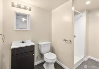 Lower Level Bathroom