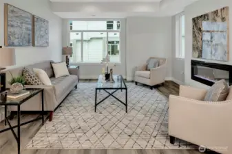 Electric fireplace in living room (photos from model home)