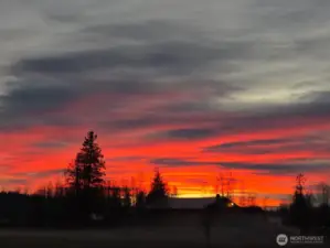 Nightly sunset behind the actual home on sale at Blueberry Farm.
