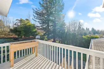 Your primary bedroom balcony overlooking your large back yard.