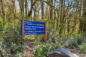The entrance to Cougar Mountain Regional Wildland Park is just a short walk from your doorstep.