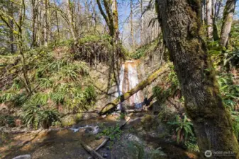 A scenic waterfall is just a short walk from your home.