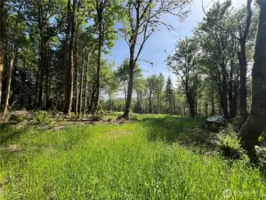 Cleared homesite for your dream home or cabin.
