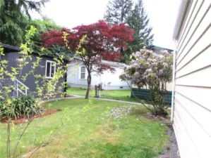 MATURE LANDSCAPING, SEMI-PRIVATE YARD AREA.