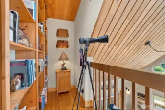 Loft library, cozy and expansive at the same time