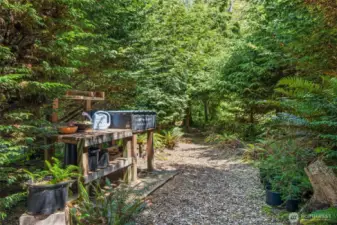 Potting area, owners have been cultivating native trees and shrubs