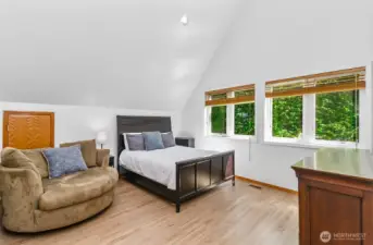 The upper level primary bedroom has an open outlook, vaulted ceilings and walk-in closet