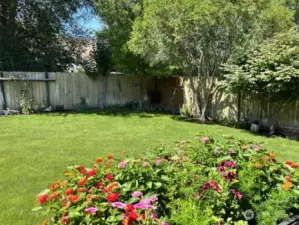 Back fenced yard