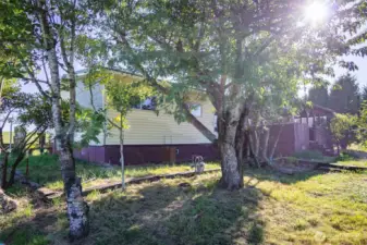 Trees around the home provide nice shade and additional privacy.