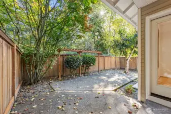 Looking out into backyard space from covered patio spot just outside the access door. Trellis on back edge of patio/fence line. Tree coverage provides nice shade during summer months. Backed up to greenbelt for gorgeous territorial views.