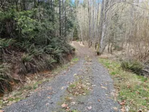 All weather driveway back to the Cabin site.