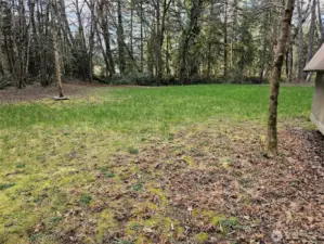 Grassy meadow within this woodsey 8+ acres