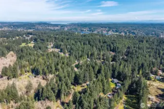 Escape to your own 2.42-ac sanctuary in Port Orchard. This stunning property offers a perfect blend of cleared living space and lush, evergreen forest, providing ultimate privacy and a park-like atmosphere.