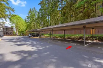 Carport Covered 124