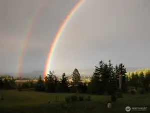Rainbow Beauty!