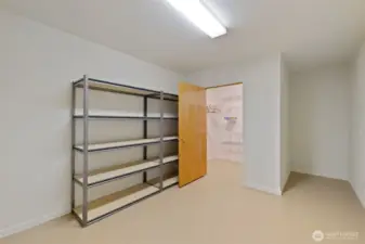Downstairs storage room with walk in closet