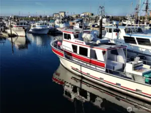 Ocean Sportfishing from April to October