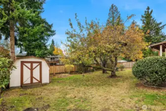 Outdoor Shed and beautiful level yard with apple tree