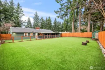 Full Turf Backyard