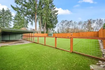 Full Turf Backyard