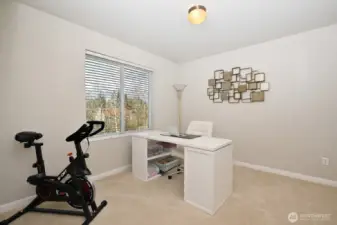 3rd bedroom is currently used as office/work-out room