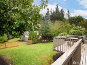West home - 22511: The deck looks over the private, level backyard.