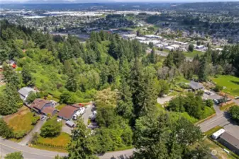 Immediate neighbors to the North (left) and South (right) of subject property (tall evergreens) sit high above the hustle & bustle of the valley below.