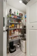Pantry space.