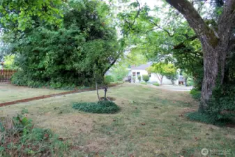 Nice front lot