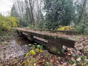 Awesome drivable concrete bridge over the creek.
