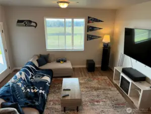 Lower level familyroom