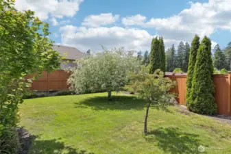 Landscaped, private yard