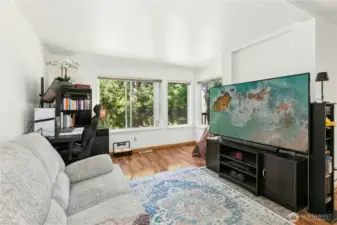 gas fireplace is located behind the large tv. Very light and bright room.