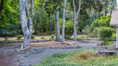 A major amount of tree work and landscape management has happened here over the last five years, making for healthy trees and bringing in much more light due to canopy reduction.