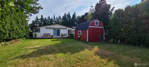 Backyard