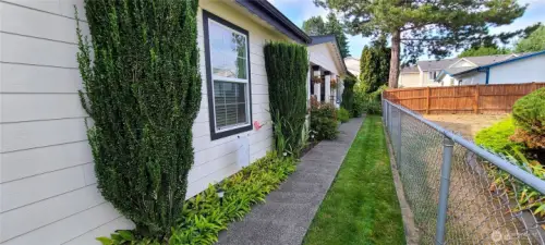 Sideyard/Front door