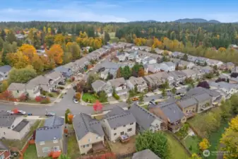 Peaceful community setting with tree-lined streets of Rainier Vista at Jenkins Creek
