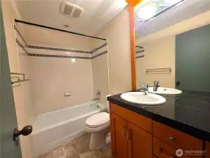 Hall bath main level