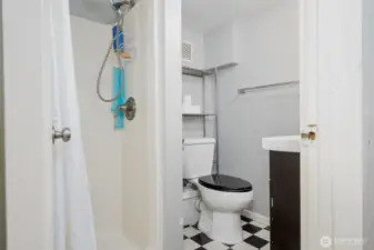 Lower level bath