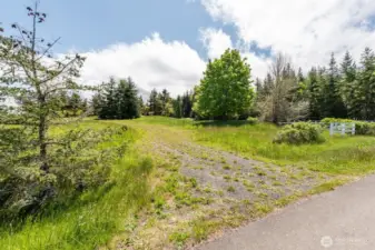 Potential Driveway from Ediz View