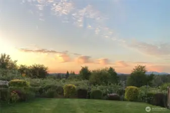 Sunsets from the back patio.