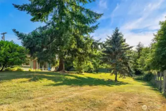 Looking from the east to the backyard.
