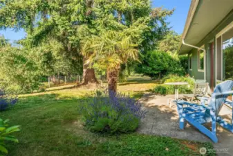 Another view of the patio surrounded by mature and lovely plantings.