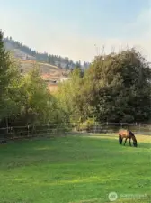 horse pasture with home on the hill