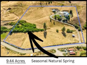 Entire property