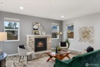 Living Room and Fireplace