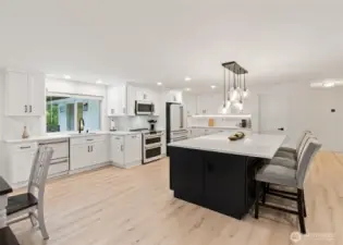 BIG island with room for everyone & extra storage.